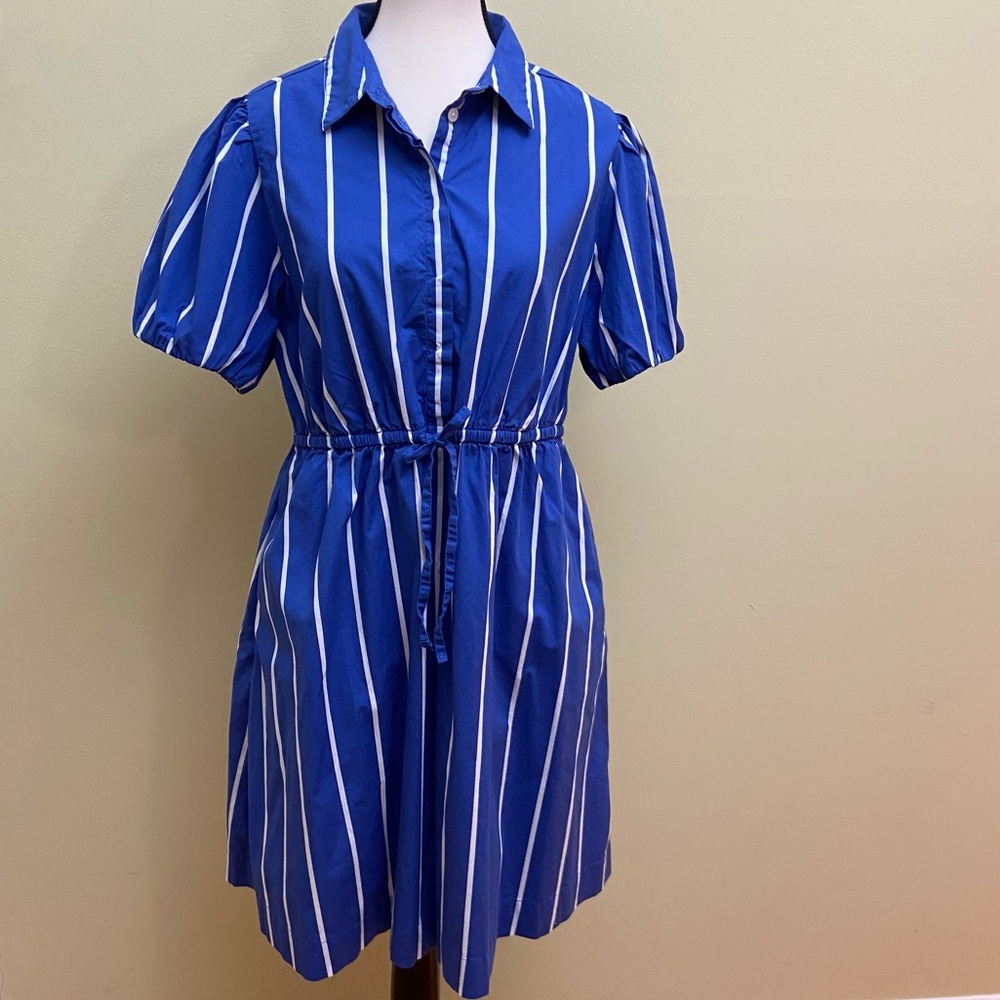 J. Crew Short-Sleeve Tie-Waist Blue and White Stripe Shirt Dress with Pockets 10